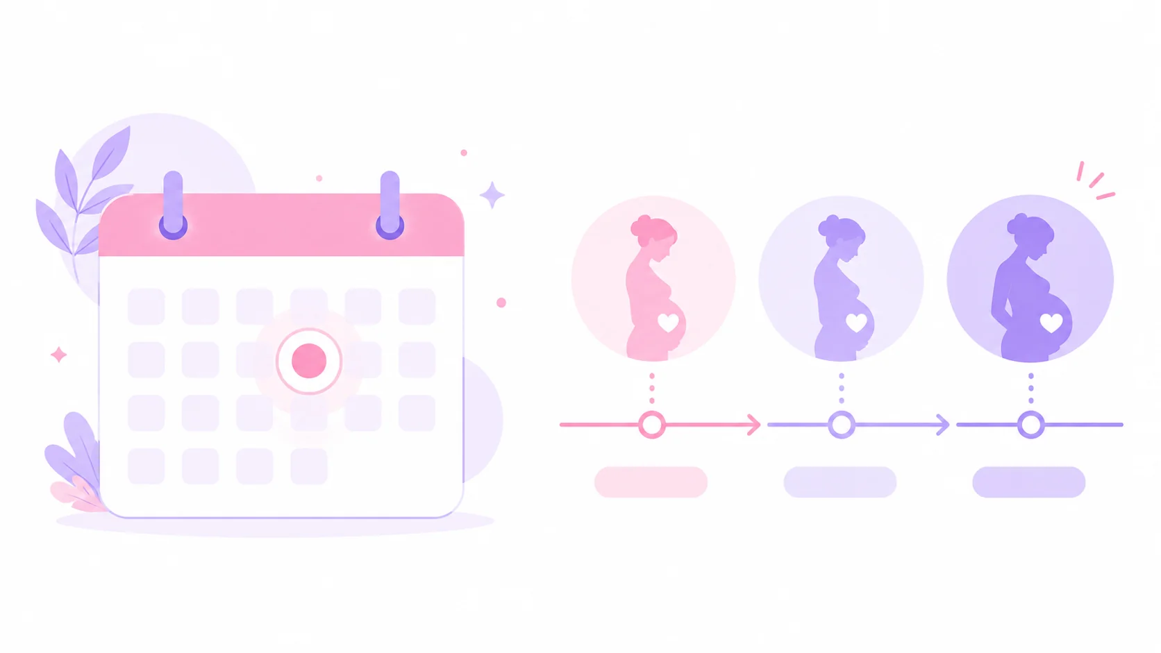 Pregnancy due date calculator illustration showing trimester timeline